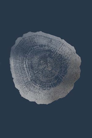 Silver Foil Tree Ring IV on Cobalt by Vision Studio art print