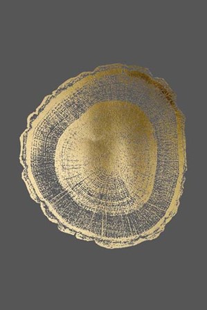 Gold Foil Tree Ring I on Dark Grey by Vision Studio art print