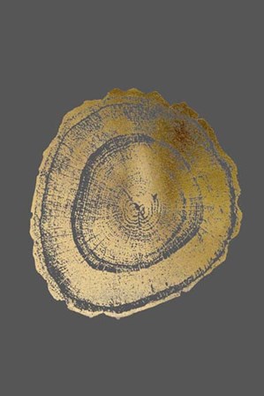 Gold Foil Tree Ring III on Dark Grey by Vision Studio art print