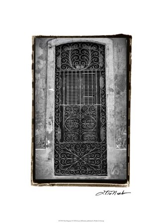 Past Elegance I by Laura Denardo art print