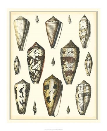Of Sea and Shore VI by Kobelt art print