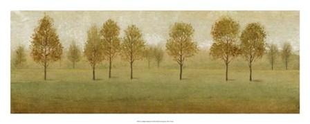 A Simple Summer II by Timothy O&#39;Toole art print