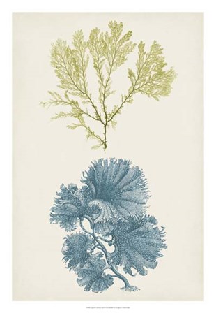 Aqua &amp; Citron Coral I by Vision Studio art print
