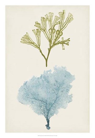 Aqua &amp; Citron Coral II by Vision Studio art print
