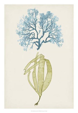 Aqua &amp; Citron Coral IV by Vision Studio art print