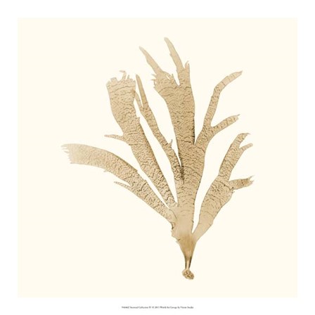 Seaweed Collection IV by Vision Studio art print
