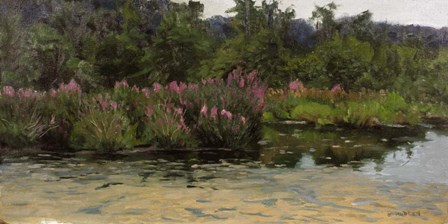 Purple Lustrife - Townsend&#39;s Pond by Michael Budden art print