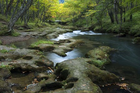 Nikko 1 by Michael de Guzman art print