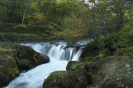 Nikko 3 by Michael de Guzman art print