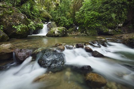 Scotabato1 by Michael de Guzman art print