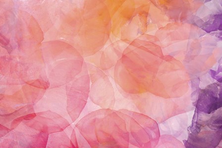 Flores Compuestas 1 by Moises Levy art print