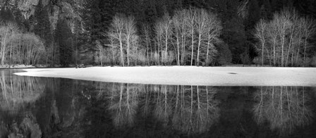 Yosemite Reflection 1 by Moises Levy art print