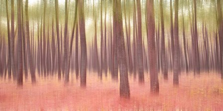 Blurred Trees 5 by Moises Levy art print