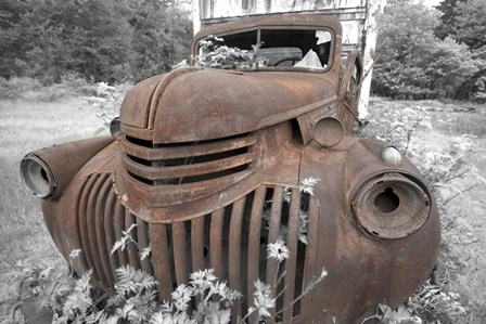 Crescent Lake 73 - Color by Moises Levy art print