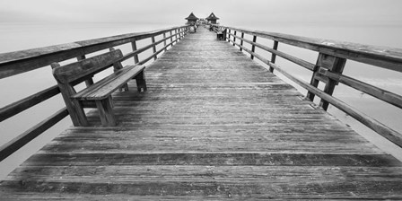 Future II by Moises Levy art print