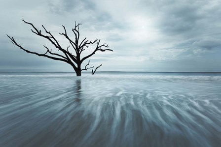 Searching For Life Color Edit by Moises Levy art print