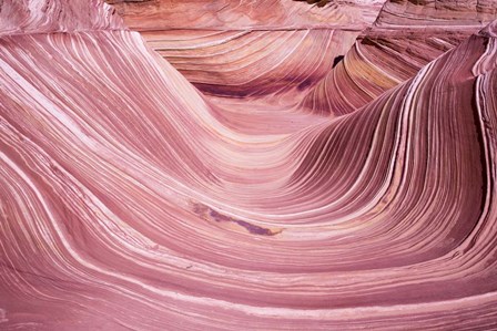 The Small Wave by Moises Levy art print