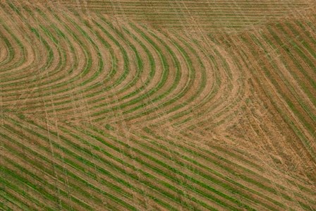 Abstract Air 1-1 by Moises Levy art print