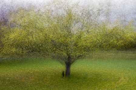 The Cat By the Tree by Arne Ostlund art print