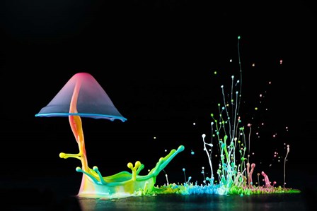Symphony of Colors by Suwandi Lim art print