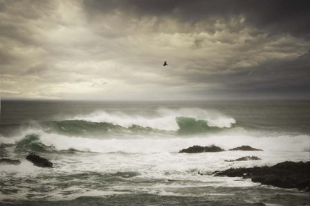 The Flight by Natalie Mikaels art print