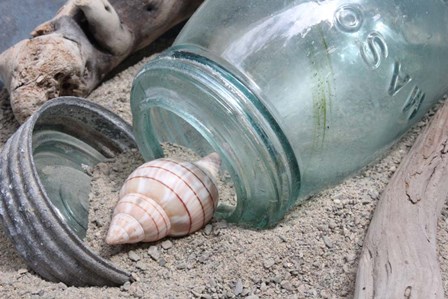 One Shell Mason Jar by Robert Goldwitz art print