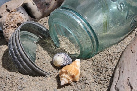 Two Shells Mason Jar by Robert Goldwitz art print