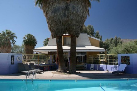1000 Palms California by Robert Goldwitz art print