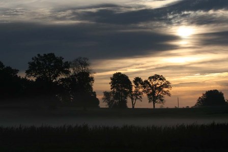 Grey Dawn Wetland by Robert Goldwitz art print