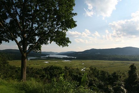 Hudson Highlands Tree Boscobell by Robert Goldwitz art print