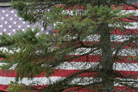 Pine Flag Barn by Robert Goldwitz art print