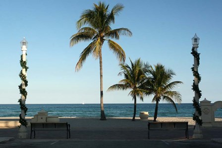 South Beach Palms by Robert Goldwitz art print