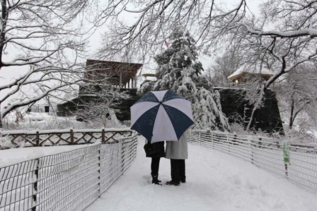 Central Park Couple In The Snow by Robert Goldwitz art print