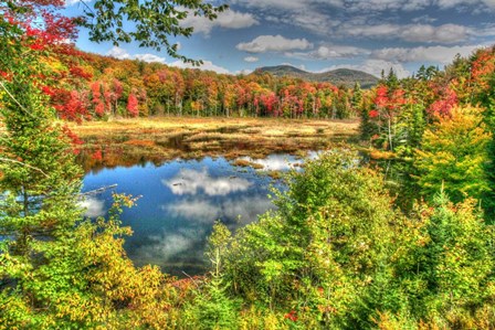 Adirondack Pond by Robert Goldwitz art print