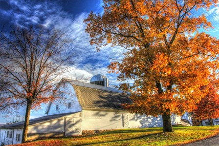 Autumn Barns by Robert Goldwitz art print
