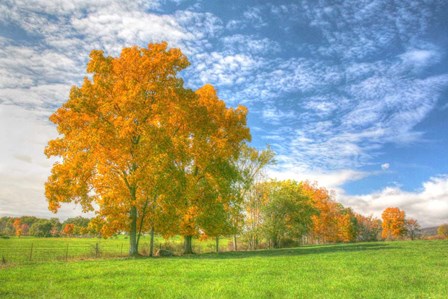 Autumn Tree Line by Robert Goldwitz art print