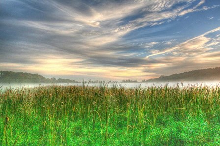 Cattails And Sky by Robert Goldwitz art print