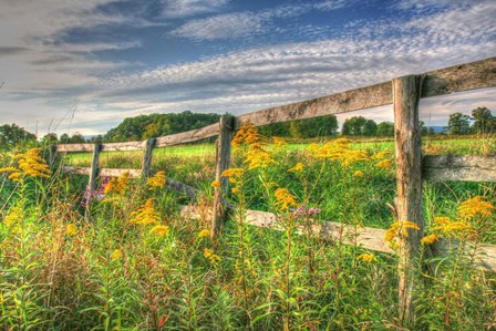 Denniston Lane Fence by Robert Goldwitz art print