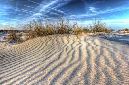 Dune Lines by Robert Goldwitz art print