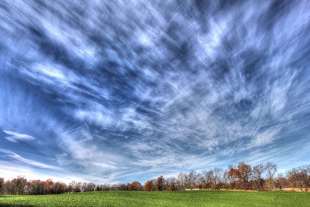 Field And Sky Autumn by Robert Goldwitz art print
