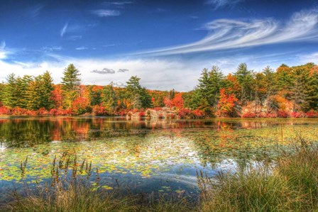 Harriman Pond by Robert Goldwitz art print