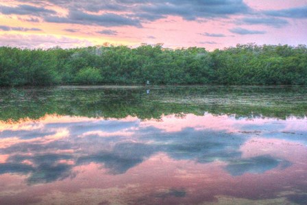 Heron And Mangroves by Robert Goldwitz art print