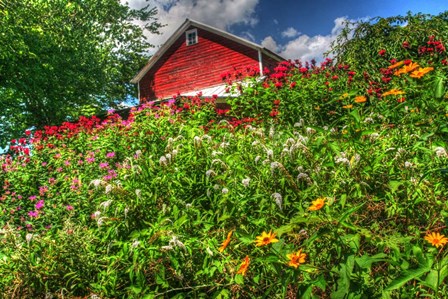 Red Barn And Flowers by Robert Goldwitz art print