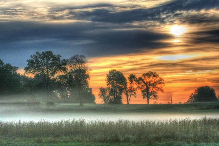 Sunrise Meadow by Robert Goldwitz art print