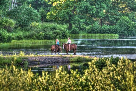 Tillson Pond Riders by Robert Goldwitz art print