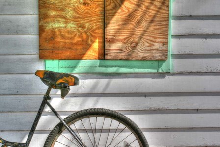 Trusty Old Bike by Robert Goldwitz art print