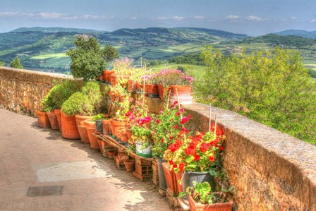 Tuscan Garden View by Robert Goldwitz art print