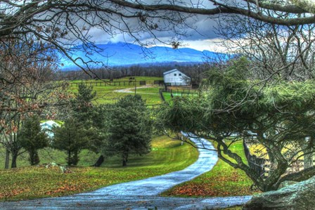 BC Driveway View by Robert Goldwitz art print