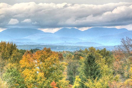 Blue Catskills And Hawk by Robert Goldwitz art print
