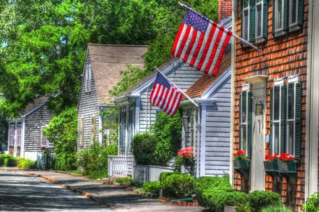 Flag Draped Lane by Robert Goldwitz art print